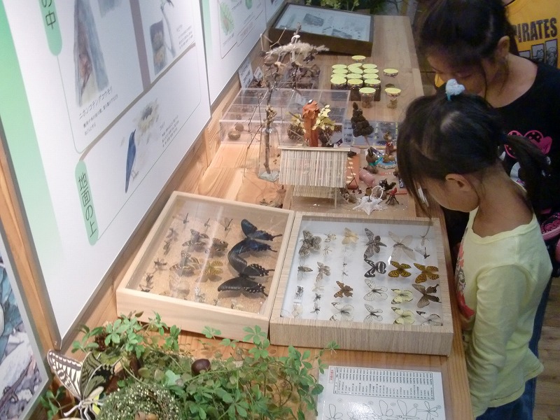 子供たちが展示資料を真剣に見学している様子 子供たちが展示資料を真剣に見学している様子